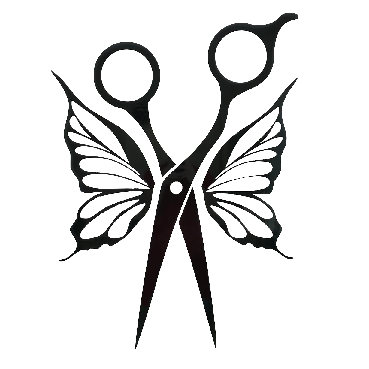 Studio Frizurca Darilni Bon